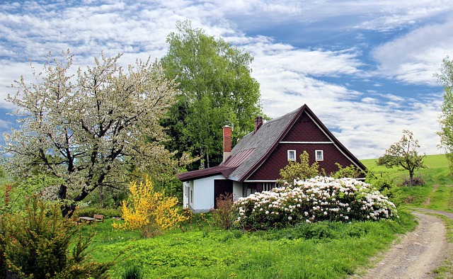 osamocený dům