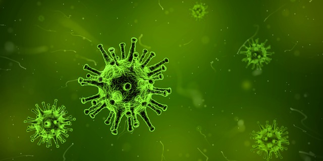 zelený virus