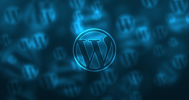 logo WordPress.jpg